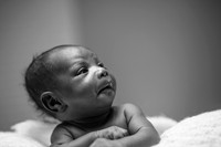 RO1MONTH-16