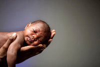 RO1MONTH-20