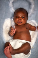 RO1MONTH-16