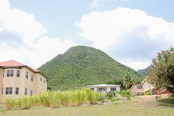 cr50-2117