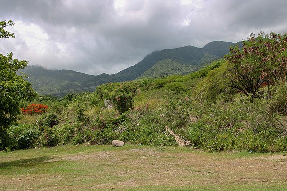 cr50-2090