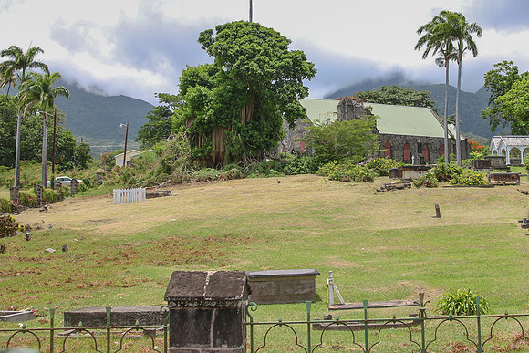 cr50-2031