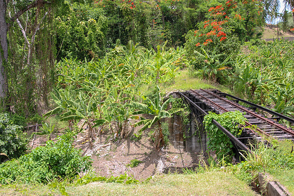 cr50-2012