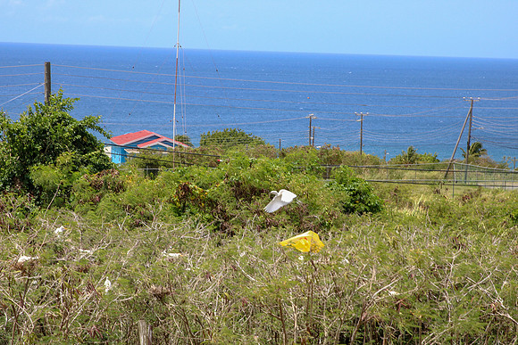 cr50-1841