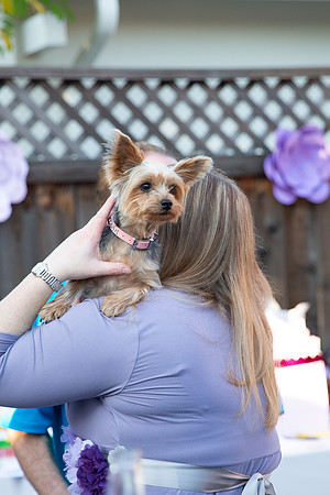 Jeanie & Sujay Baby 2019Shower-141