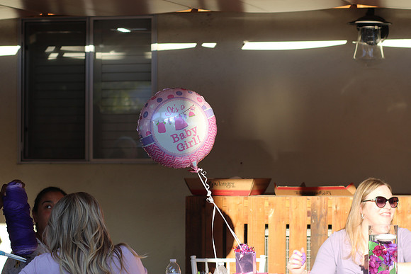 Jeanie & Sujay Baby 2019Shower-106