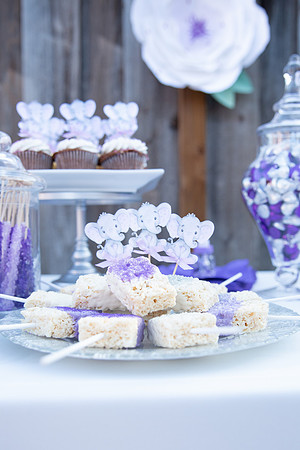Jeanie & Sujay Baby 2019Shower-53