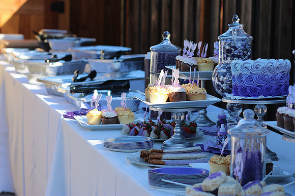 Jeanie & Sujay Baby 2019Shower-28