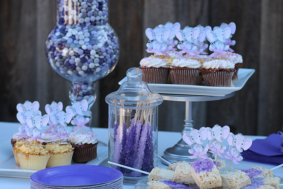 Jeanie & Sujay Baby 2019Shower-25