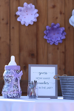 Jeanie & Sujay Baby 2019Shower-23