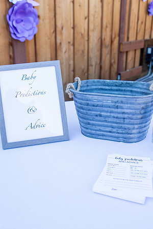 Jeanie & Sujay Baby 2019Shower-5