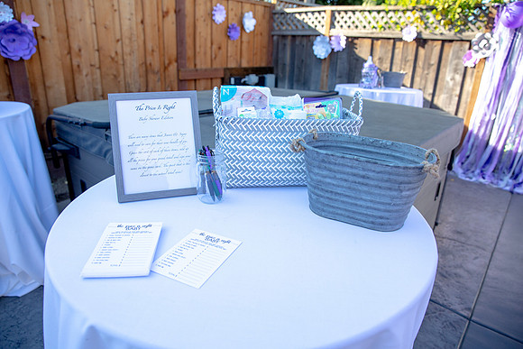 Jeanie & Sujay Baby 2019Shower-3