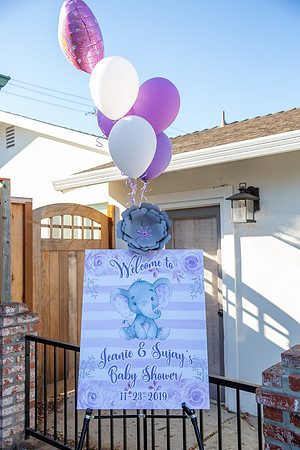 Jeanie & Sujay Baby 2019Shower-1